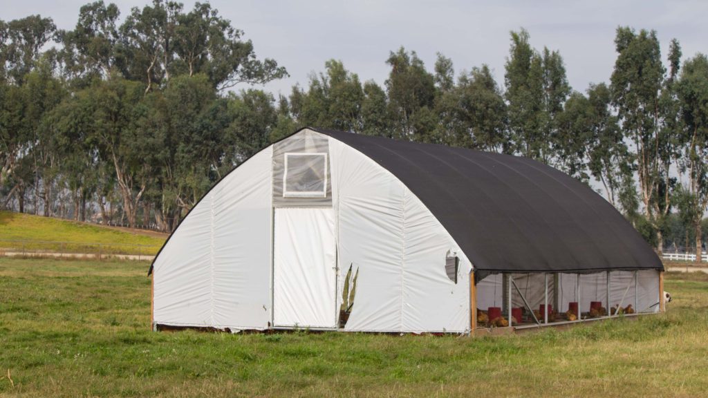 Chicken House on Sustainable Chicken Farm