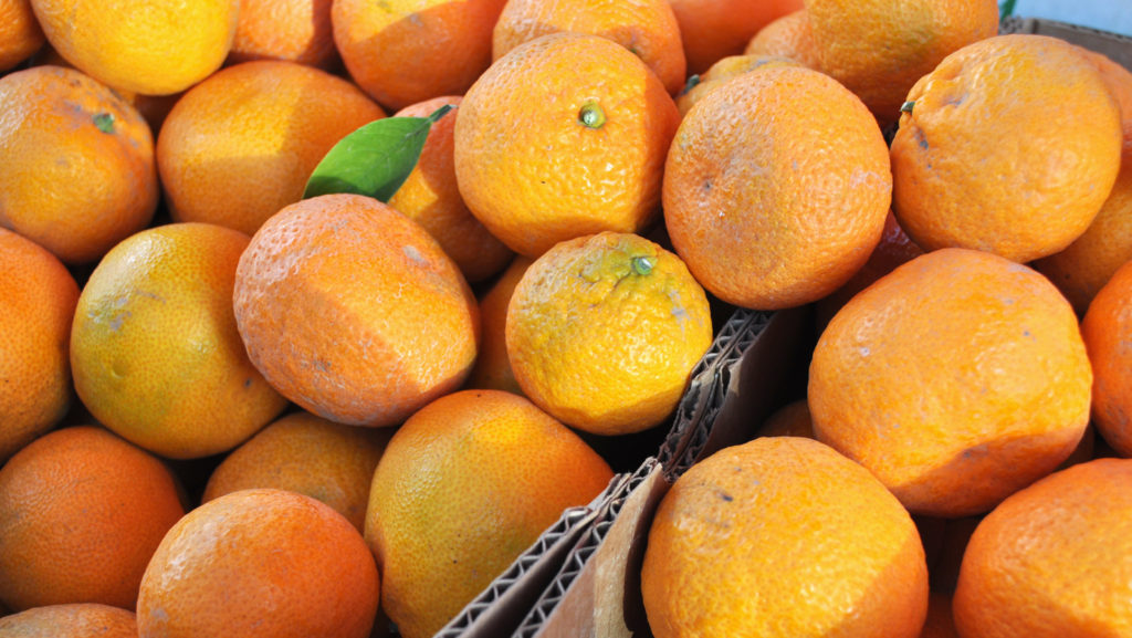 Mandarins at Solvang Farmer's Market in December