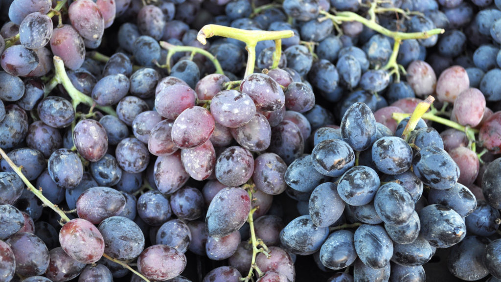 Grapes at Solvang Farmer's Market in December