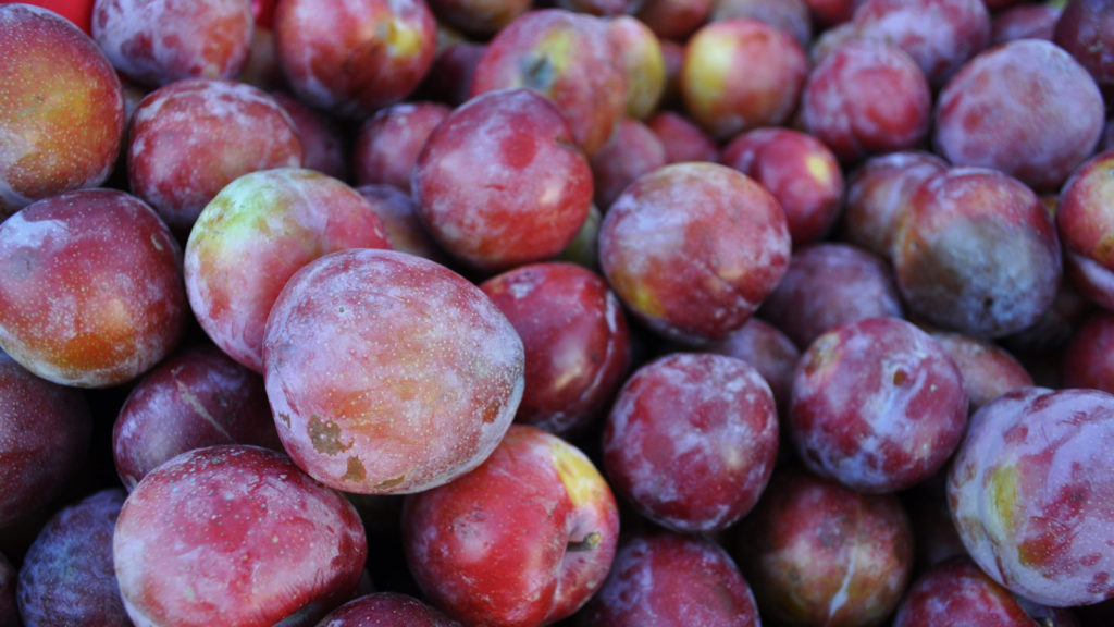 Plums at Solvang Farmer's Market in December