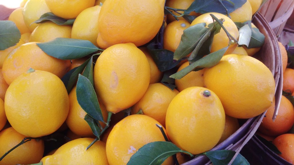 Lemons at Hollywood Farmers Market