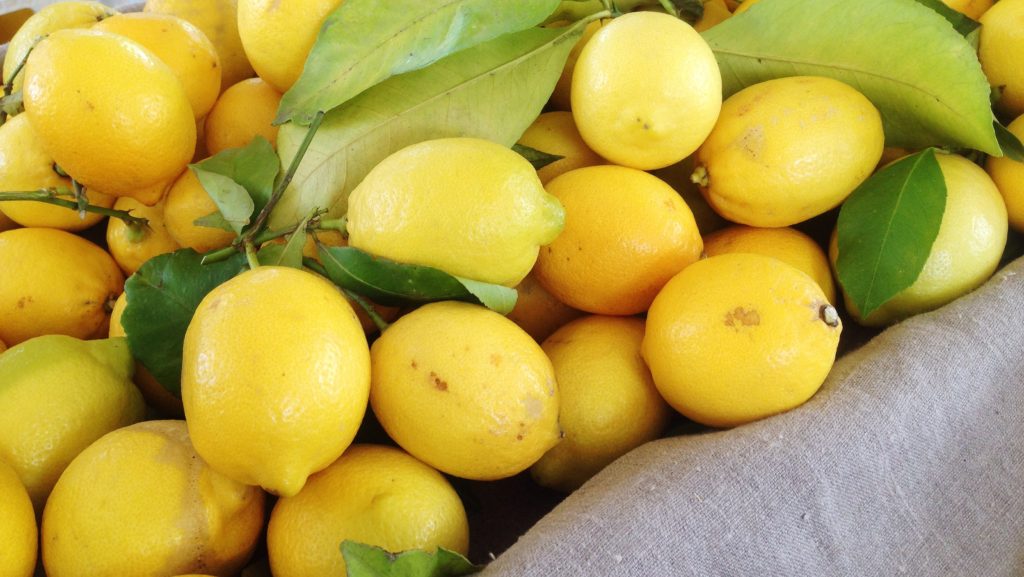 Lemons at the Hollywood farmers market