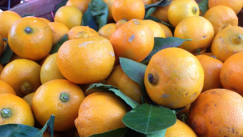 Sweet Lemons at Hollywood Market