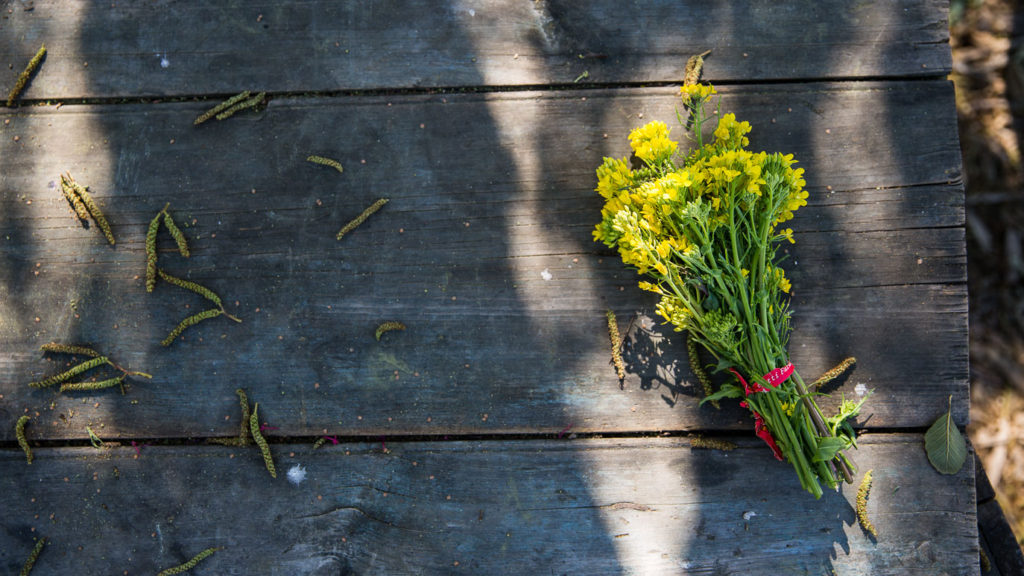 Muir Ranch Valentine Bouquets